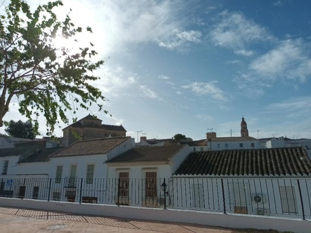 El Carmen - vista monumental (1)